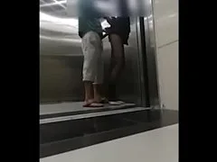 คลิปหลุด ผู้บริการแอบเย็ดหีพนักงานสาวในลีฟ ยืนซอยท่าหมาโดนมือดีแอบถ่ายจนเป็นข่าวเย็ดสาวที่